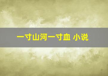 一寸山河一寸血 小说